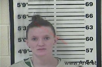 Brittany Danielle Nidiffer Mugshot