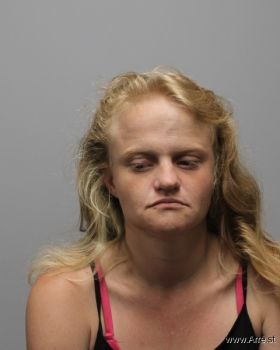 Brittany L Puckett Mugshot