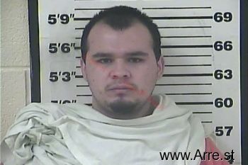 Bruce Michael Williamson Mugshot