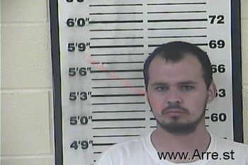 Bruce Michael Williamson Mugshot