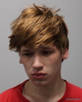 Bryson Stone Bradley Mugshot