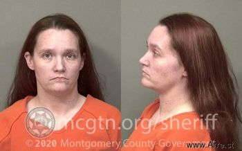 Brandi Ann Johnson Mugshot