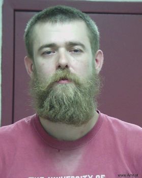 Brandon  Allen Mugshot