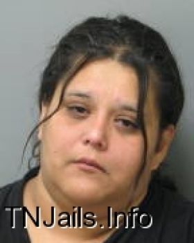 Brenda  Cantu Mugshot