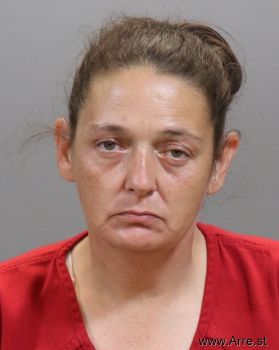 Brenda Ann Williamson Mugshot