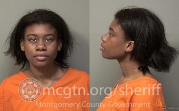 Brianna Christina Moore Mugshot