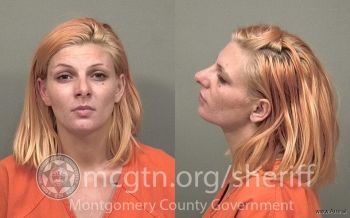 Brianna Kathleen Nelson Mugshot