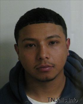 Carlos  Gonzales Mugshot