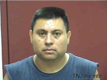 Cesar  Hernandez Mugshot