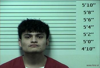 Charly Perez Bravo Mugshot