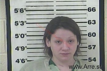 Chelsea Shea Perkins Mugshot