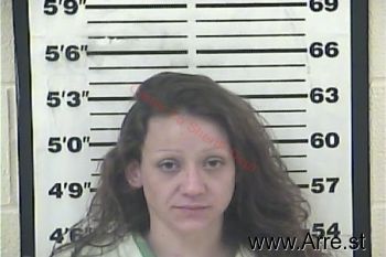 Chelsea Shea Perkins Mugshot