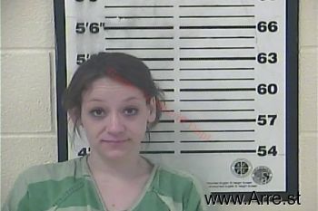 Chelsea Shea Perkins Mugshot