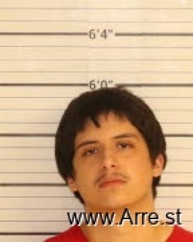 Christian Rico Martinez Mugshot