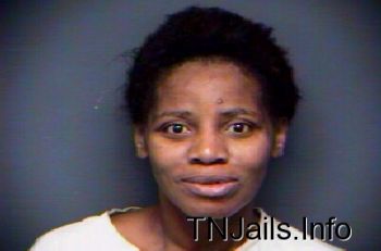 Cynthia Diane Holmes Mugshot