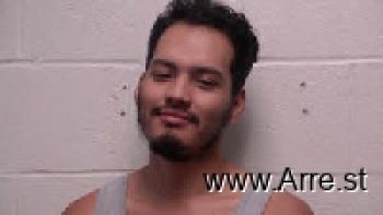 Christian Jose Anzora-nolasco Mugshot