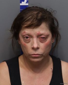 Christy Lee Bowman Mugshot