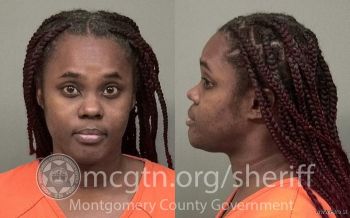 Crystal Nicole Smith Mugshot