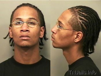 Damon  Williams Mugshot