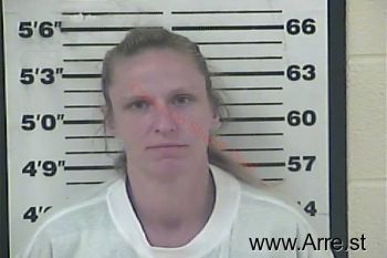 Dana Renee Evans Mugshot