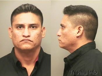 Daniel  Beltran Mugshot