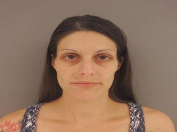 Danielle Lee Pollard Mugshot