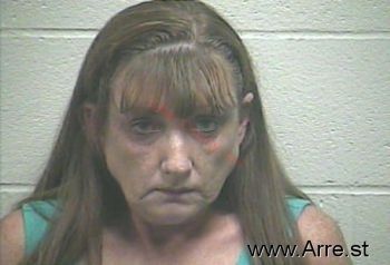 Debra Ann Brymer Mugshot