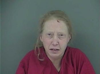 Denise Burton Henry Mugshot