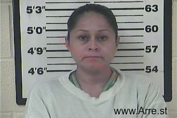 Denise Marie Navarro Mugshot