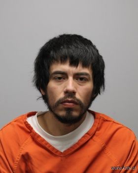 Diego Maurico Vargas Mugshot