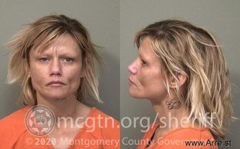 Dana Mandell Adkins Mugshot