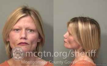 Dana Mandell Adkins Mugshot