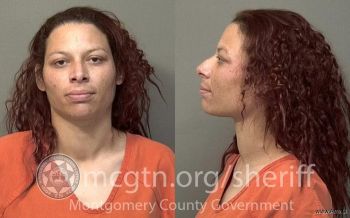 Danielle Renee Briggs Mugshot