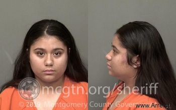 Destiny  Hernandez-mejias Mugshot