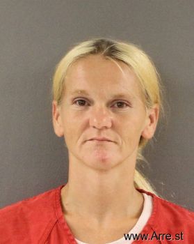 Donna Nicole Evans Mugshot