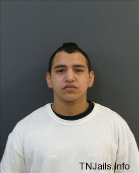 Eddy  Rangel Mugshot