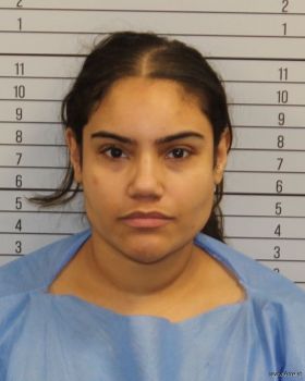 Edna  Rodriguez Mugshot