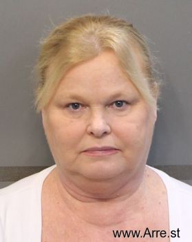 Elizabeth Ann Hanson Mugshot