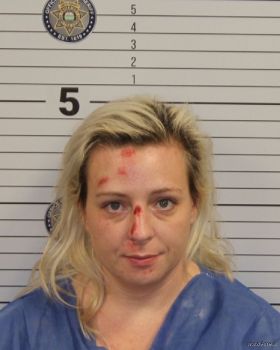 Elizabeth Story Hobbs Mugshot