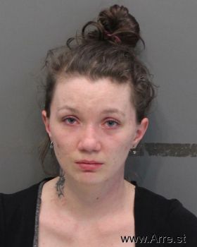 Elizabeth Ann Lee Mugshot