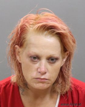 Elizabeth Ann Metcalf Mugshot