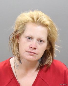 Elizabeth Ann Metcalf Mugshot