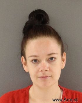 Elizabeth Ann Williams Mugshot