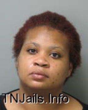 Erica  Davis Mugshot