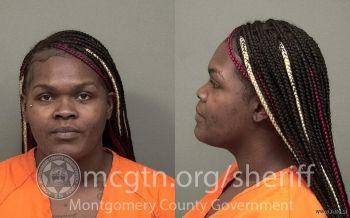 Erica Maria Markema Grayer Mugshot