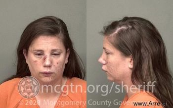 Erica Lynn Williams Mugshot