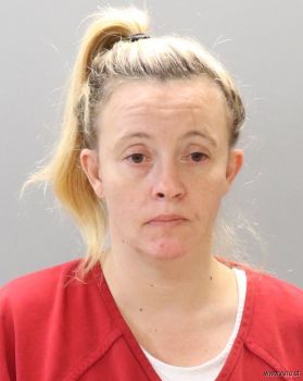 Erica Ann Parsons Mugshot