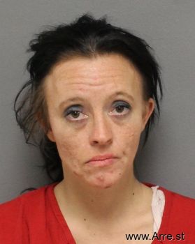 Erica Ann Parsons Mugshot