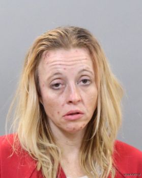 Erica Ann Parsons Mugshot