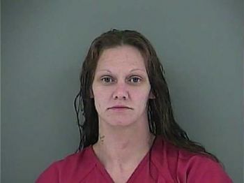 Felicia Ann Lowe Mugshot